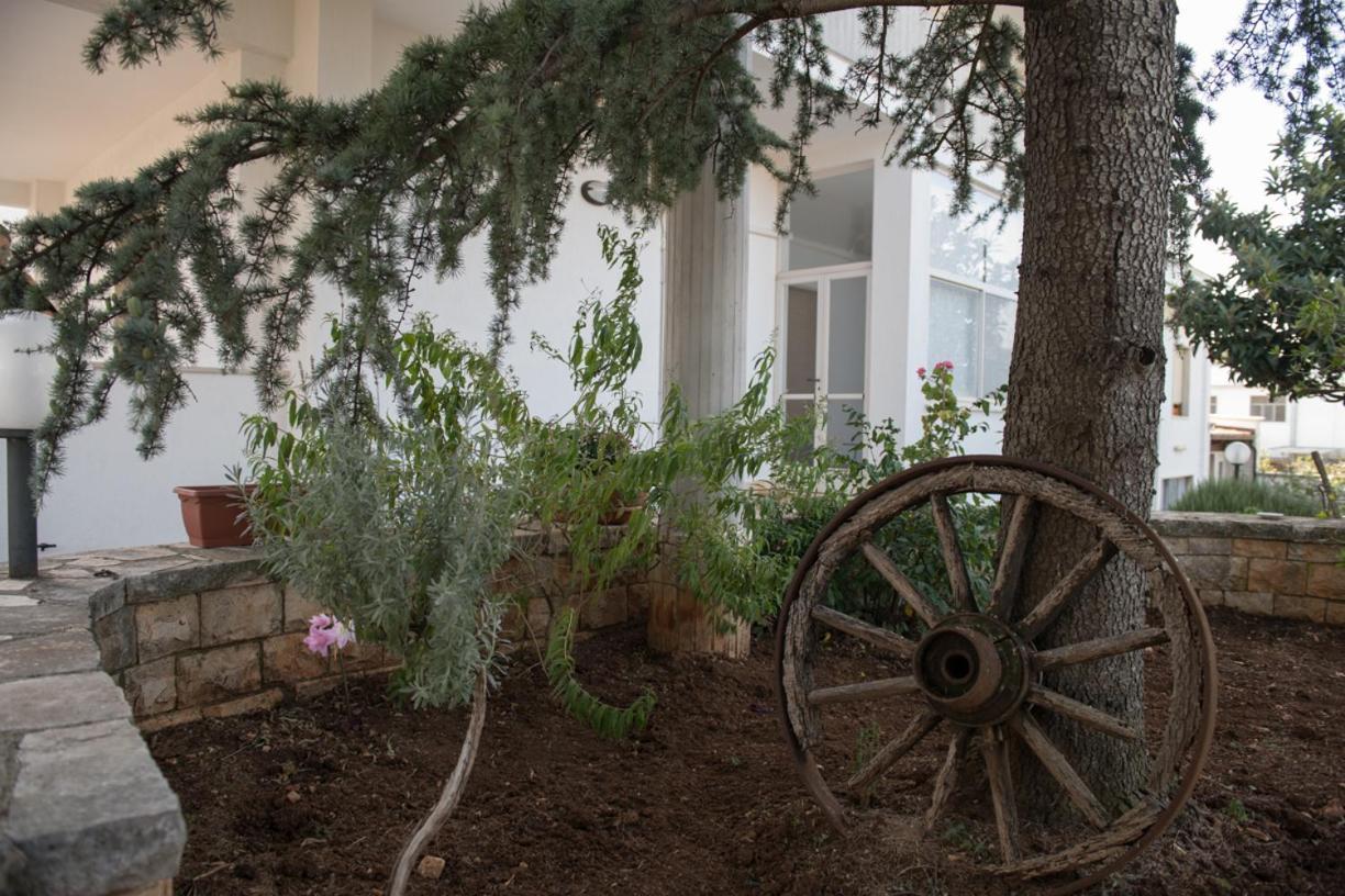 B&B Cenzina Alberobello Exteriör bild